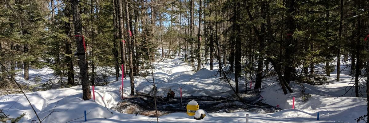 Snow removal frost study in Marcell Experimental Forest